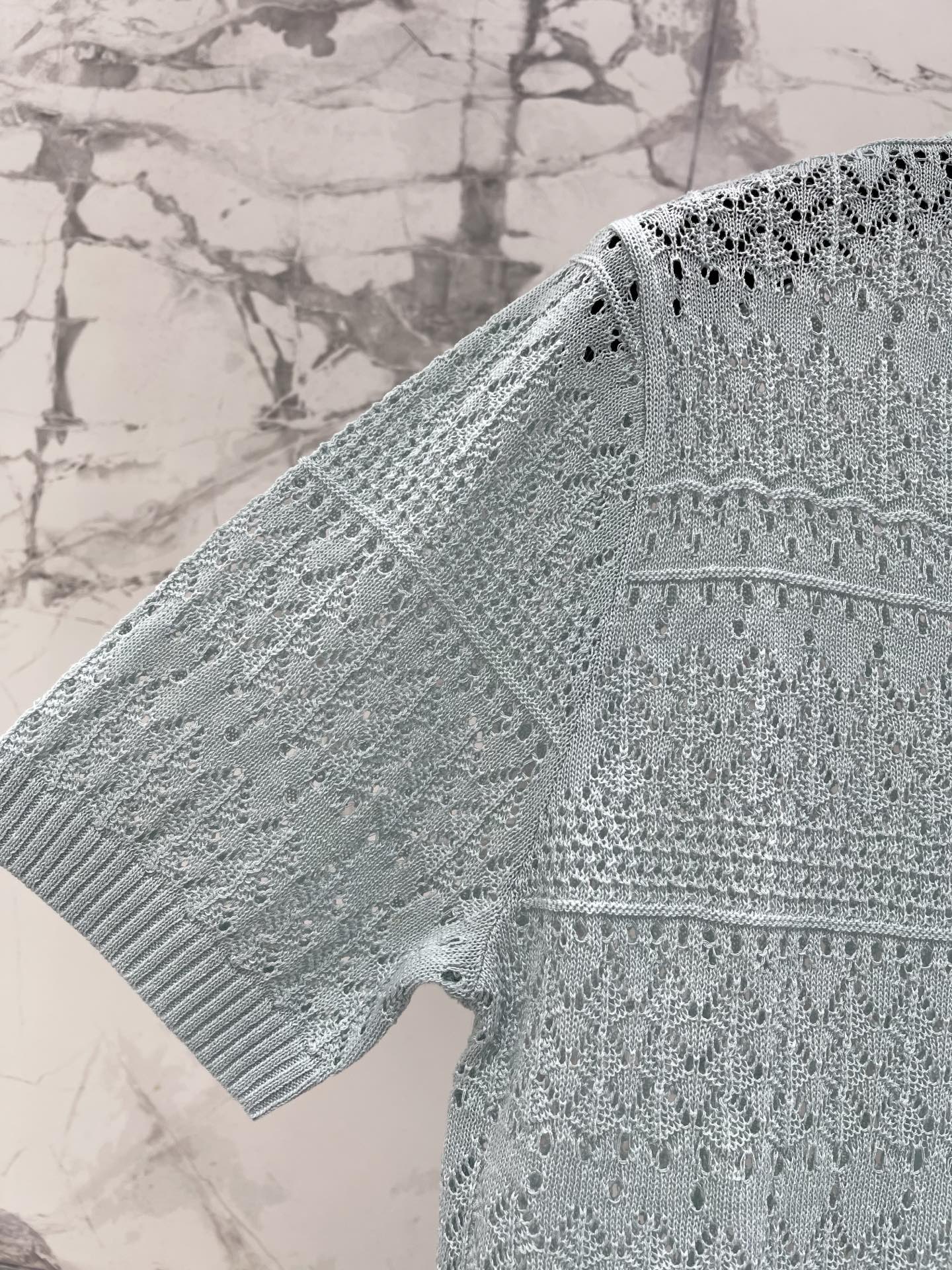 Openwork Knit Crew Neck Short-Sleeve Top