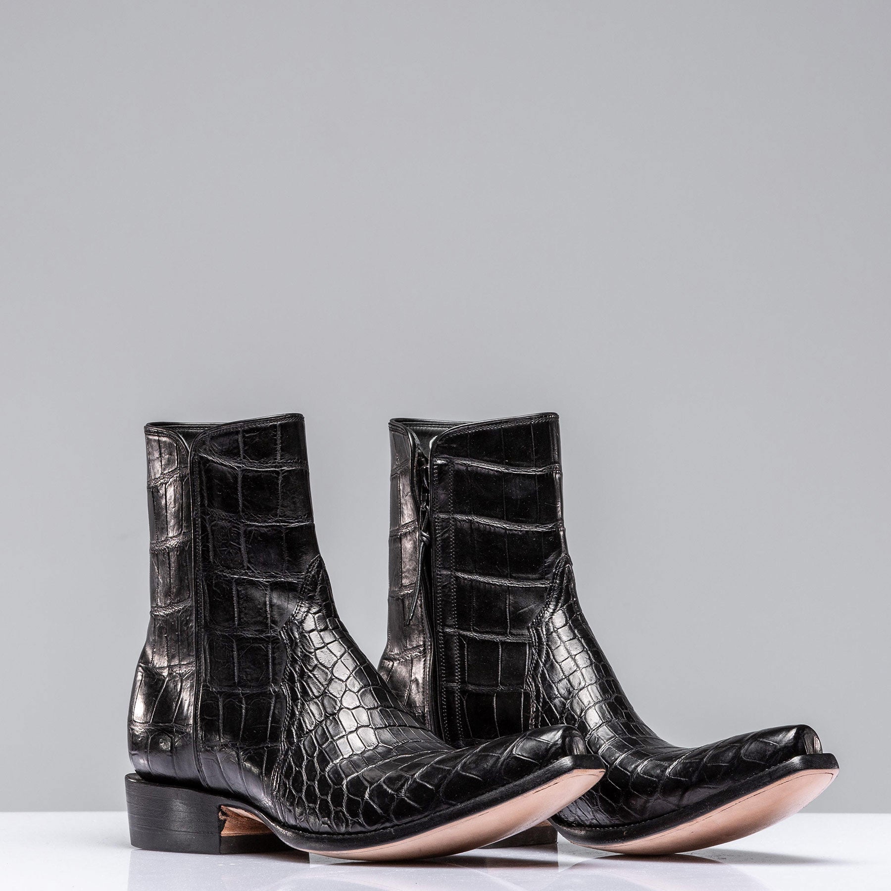 Black Crocodile Zorro