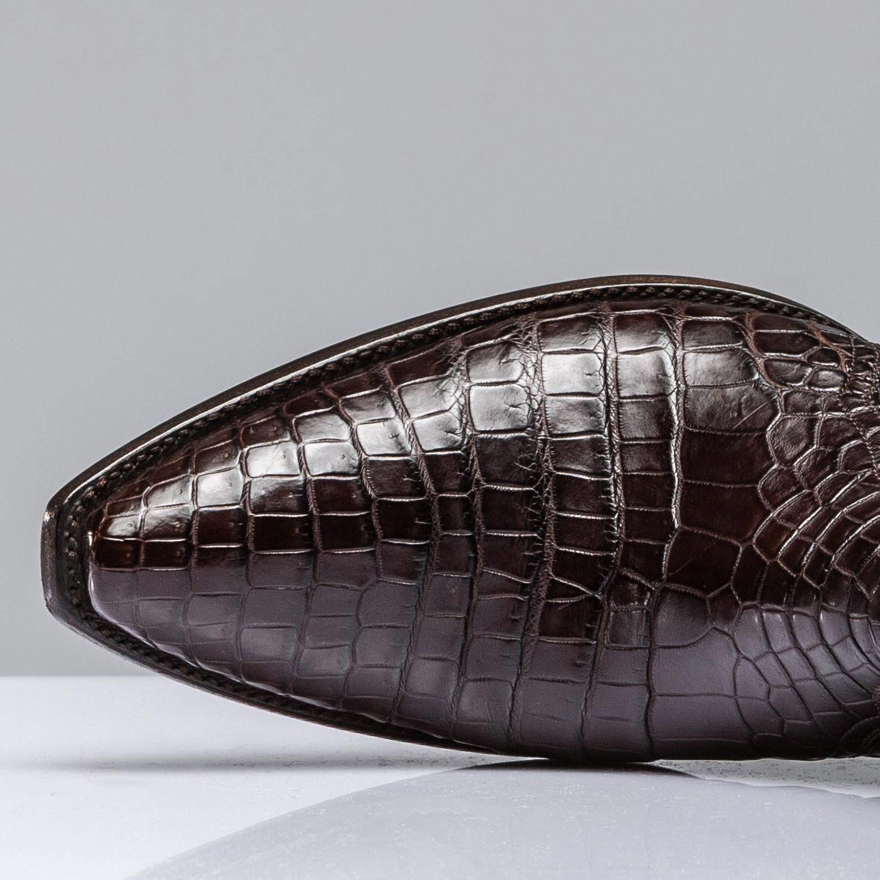 Chocolate Crocodile Zorro
