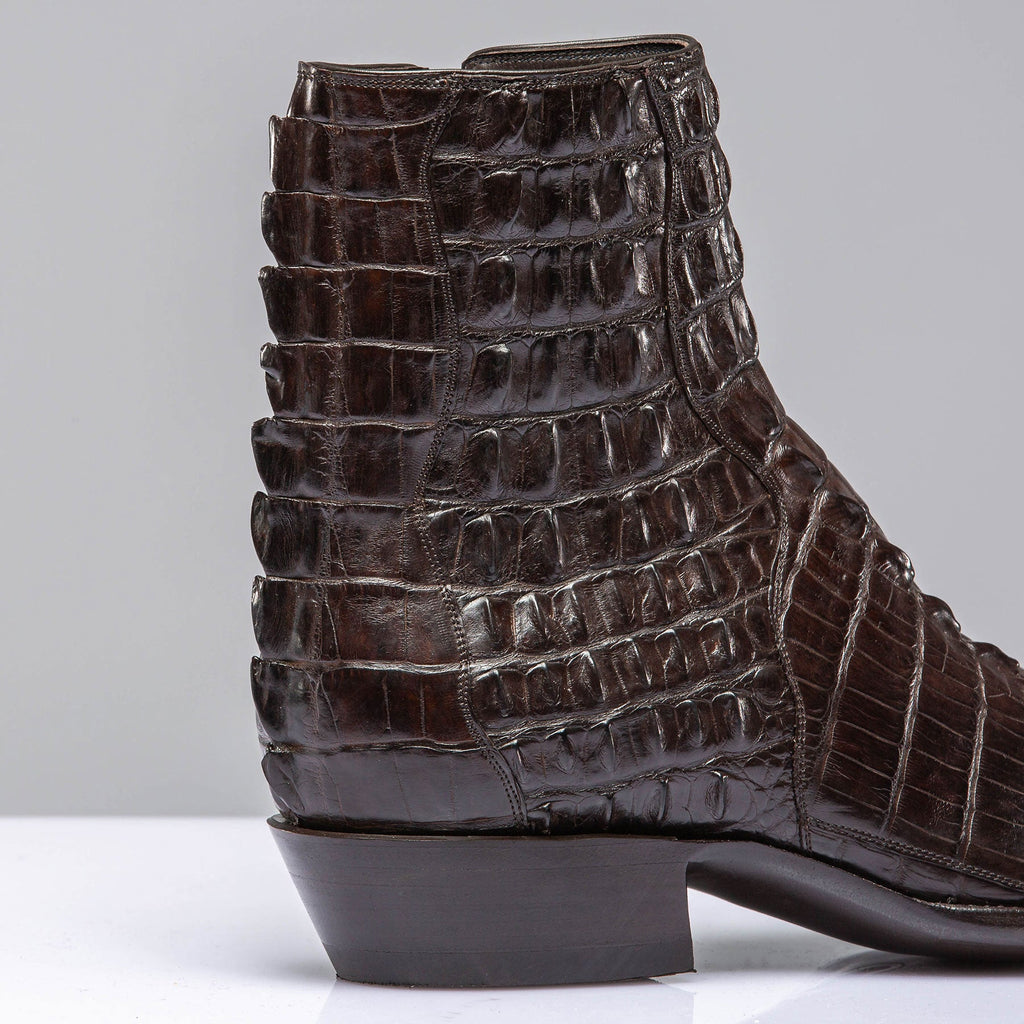 Chocolate Hornback Alligator Zorros