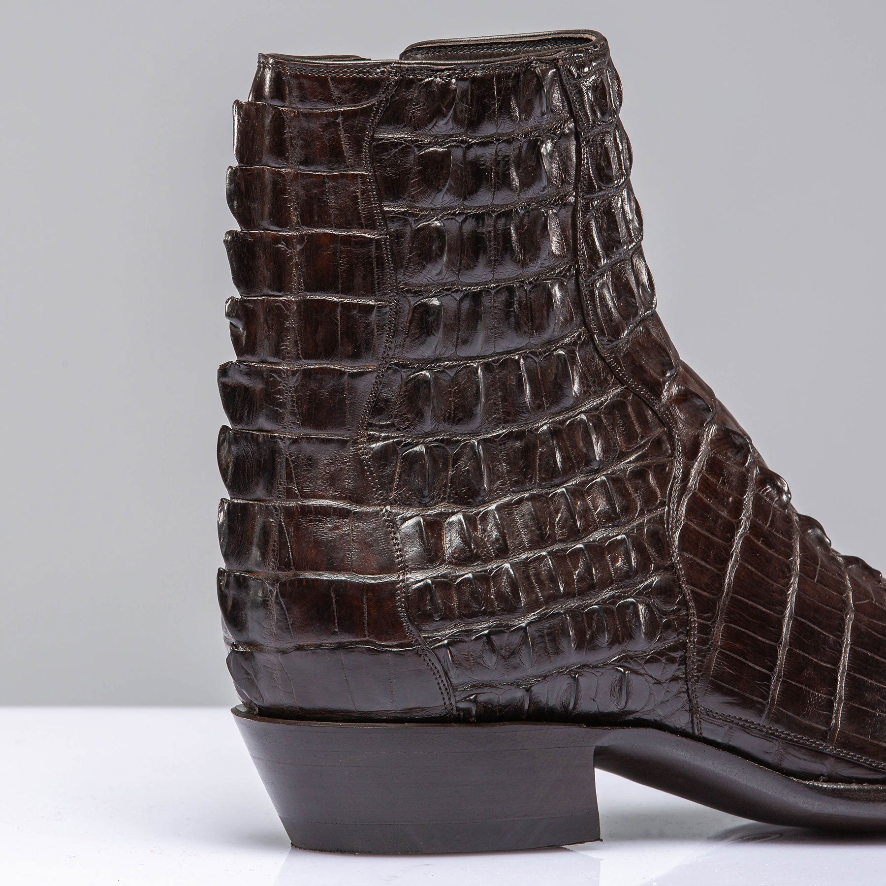 Chocolate Hornback Alligator Zorros