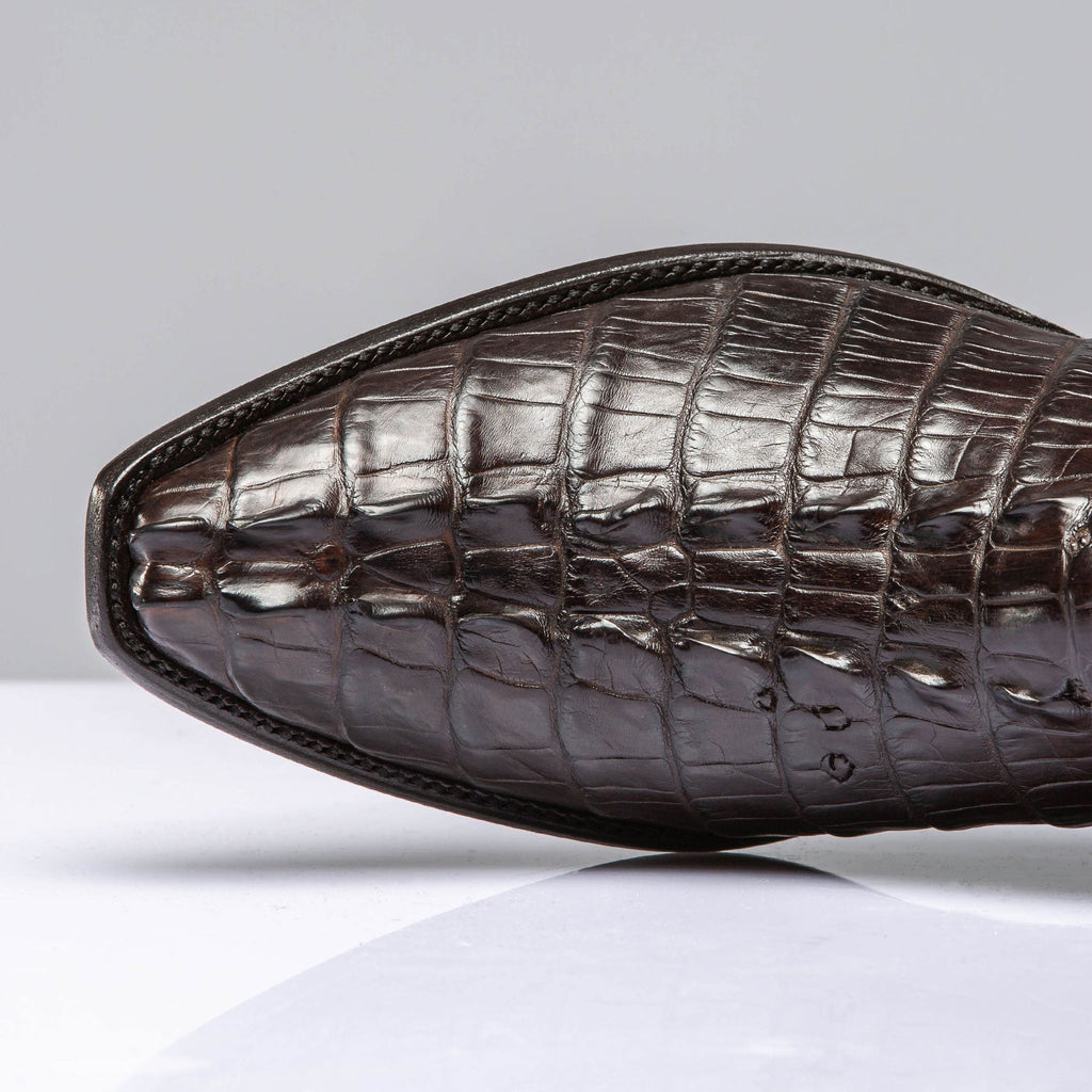 Chocolate Hornback Alligator Zorros