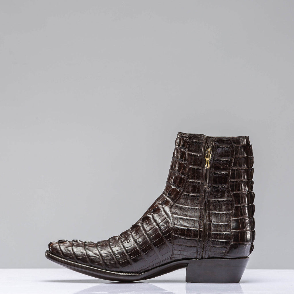 Chocolate Hornback Alligator Zorros
