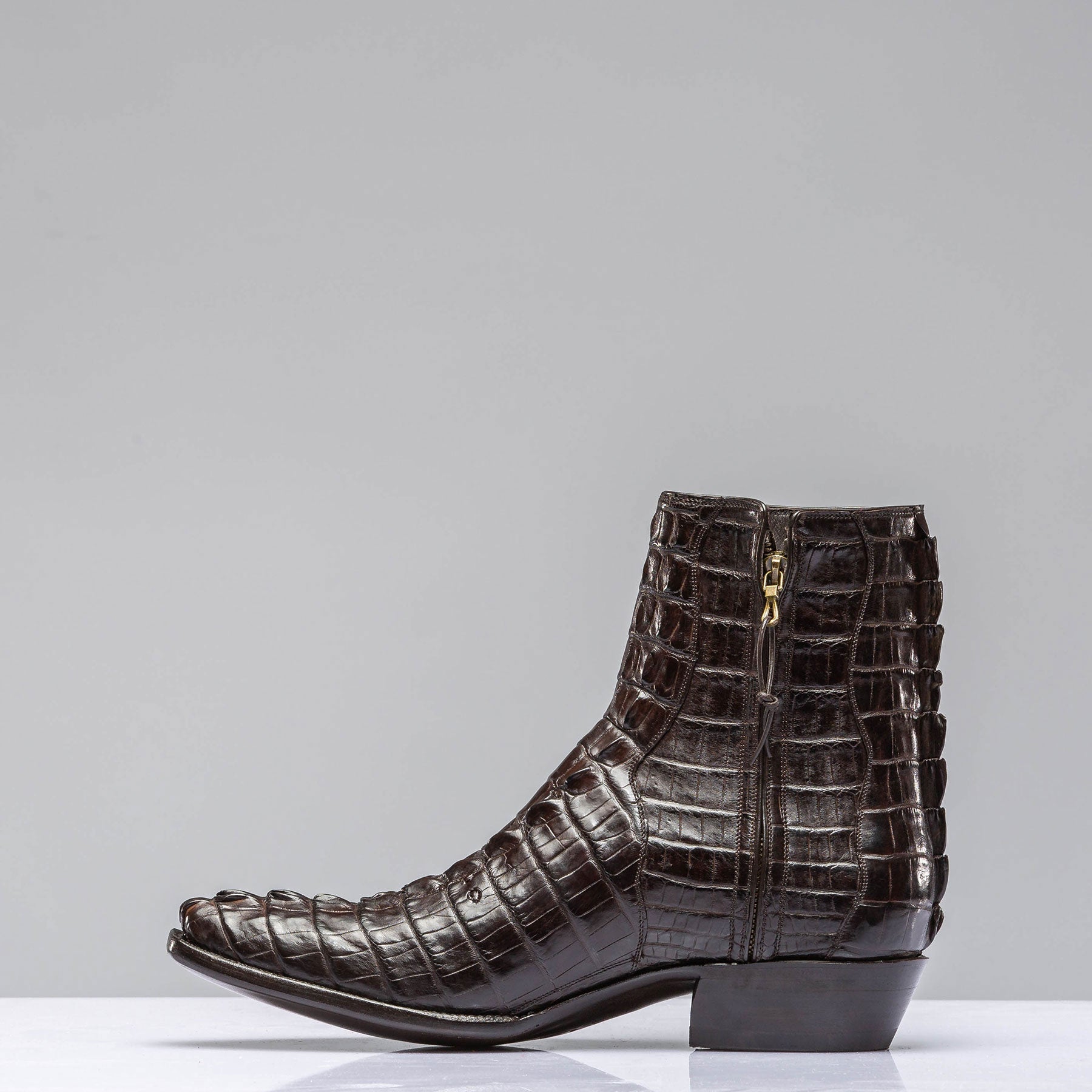 Chocolate Hornback Alligator Zorros