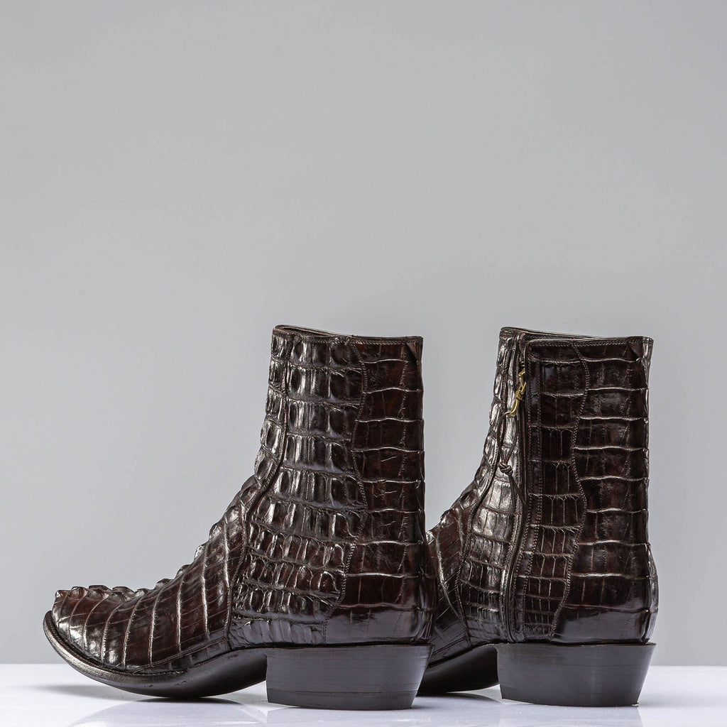 Chocolate Hornback Alligator Zorros