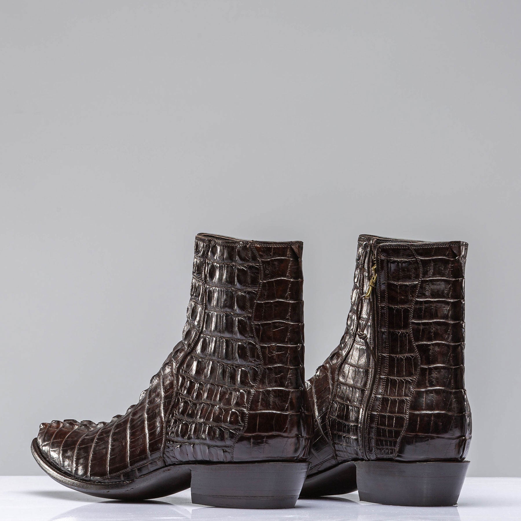 Chocolate Hornback Alligator Zorros