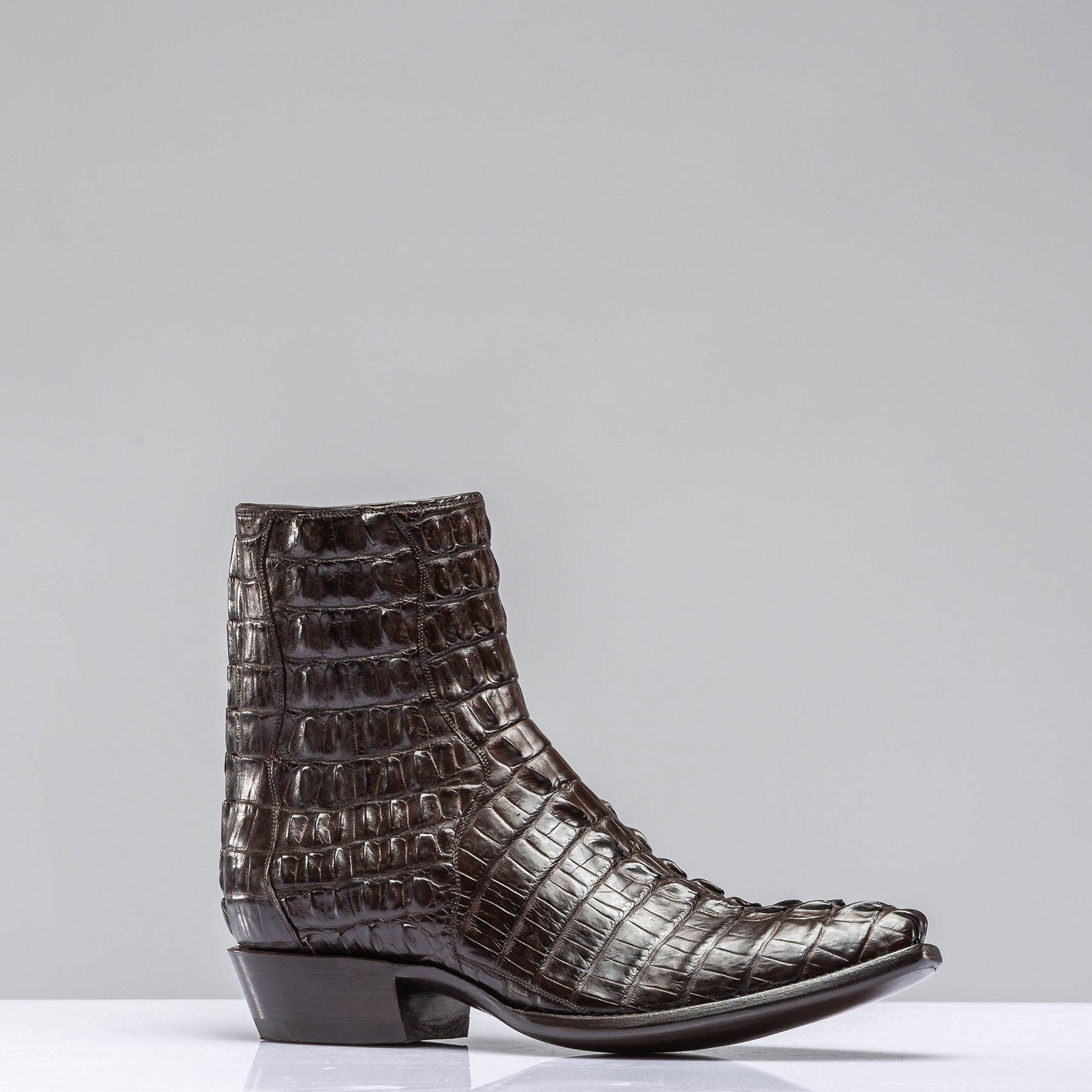 Chocolate Hornback Alligator Zorros